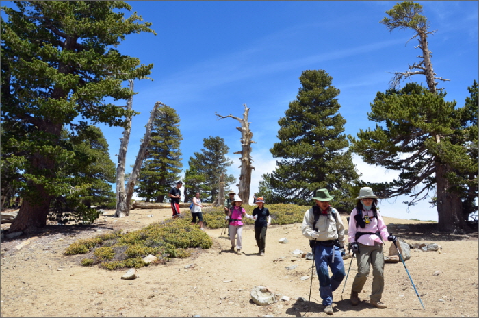 cucamonga peak 064.jpg