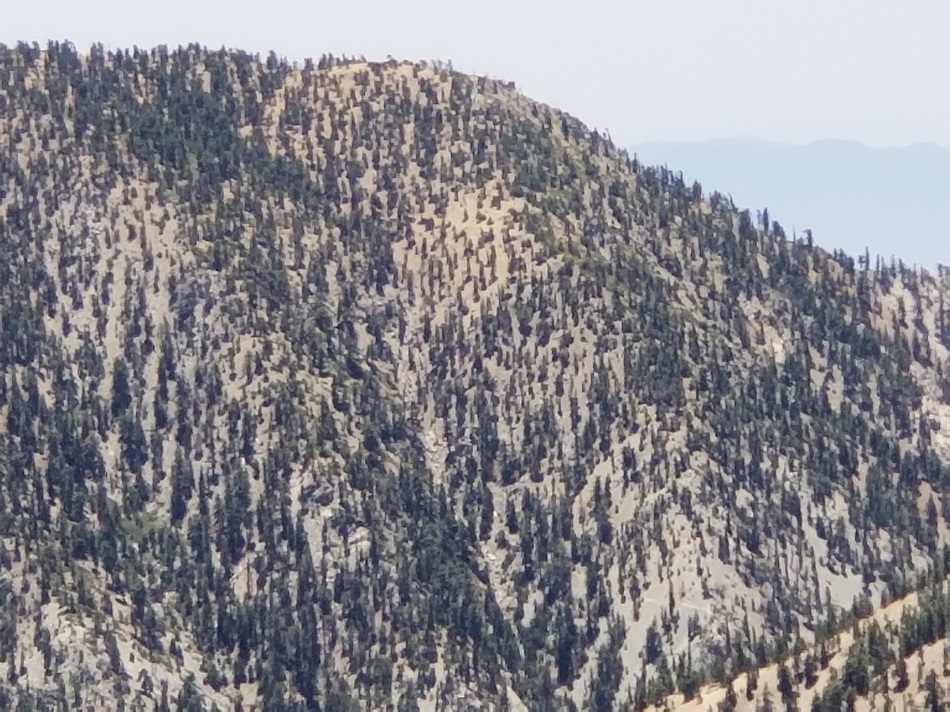 KakaoTalk_20180603_183944971.jpg