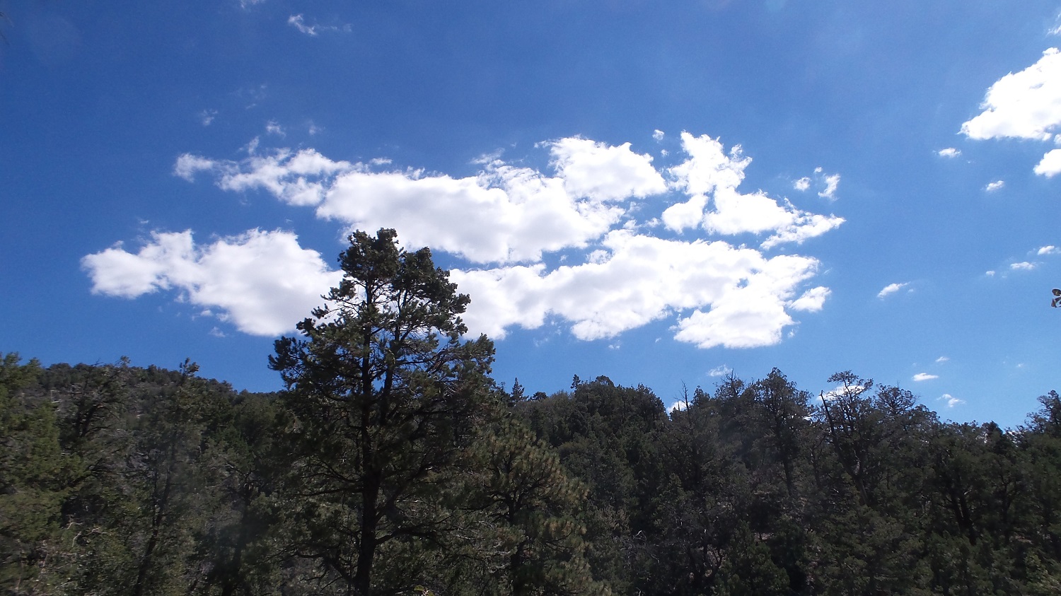 20160815_102542.jpg