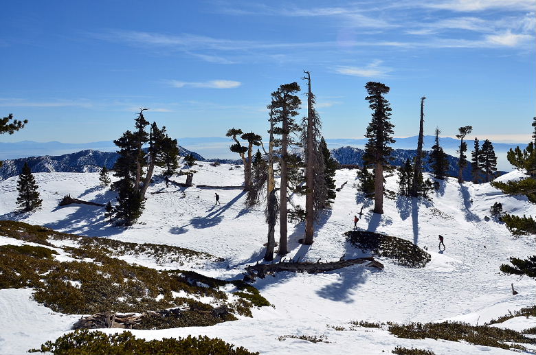 DSC_0524.JPG