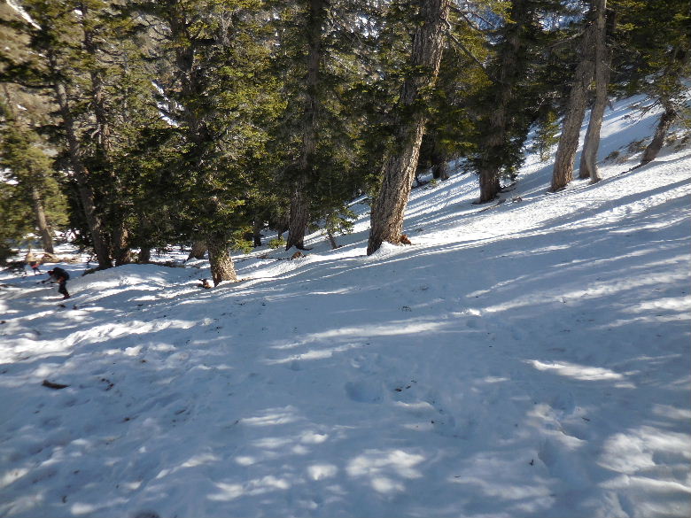 mtbaldy 037.JPG
