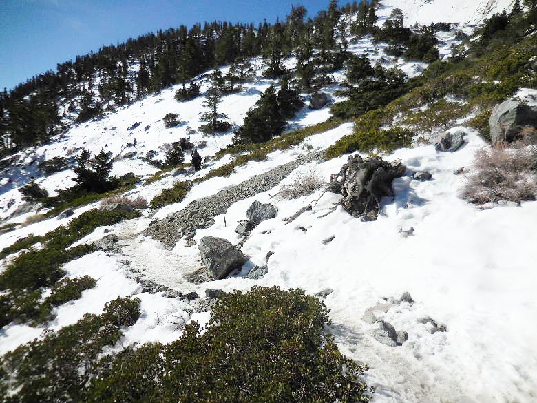 mtbaldy 026.JPG