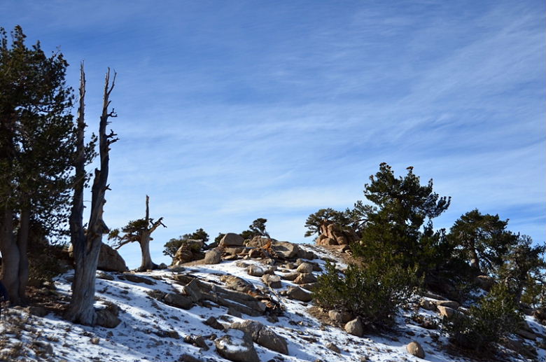 DSC_8147.JPG