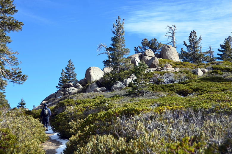 DSC_8124.JPG