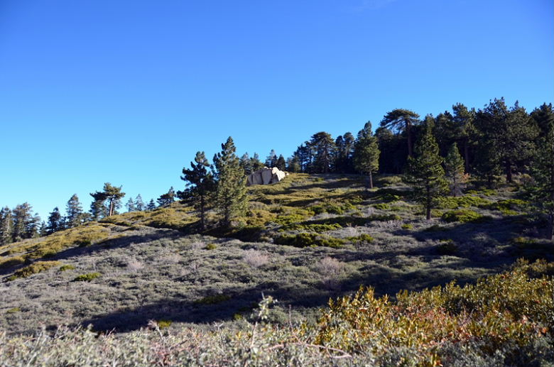 DSC_8100.JPG