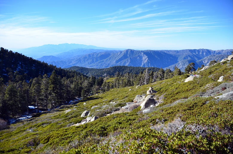 DSC_8235.JPG