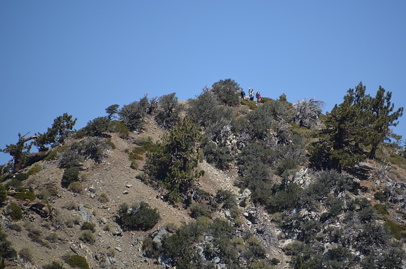DSC_0061.JPG