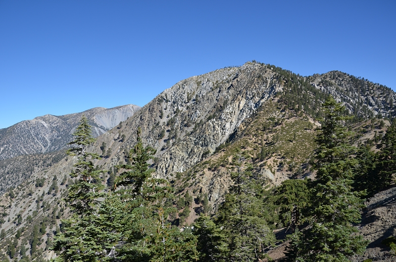 DSC_0045.JPG