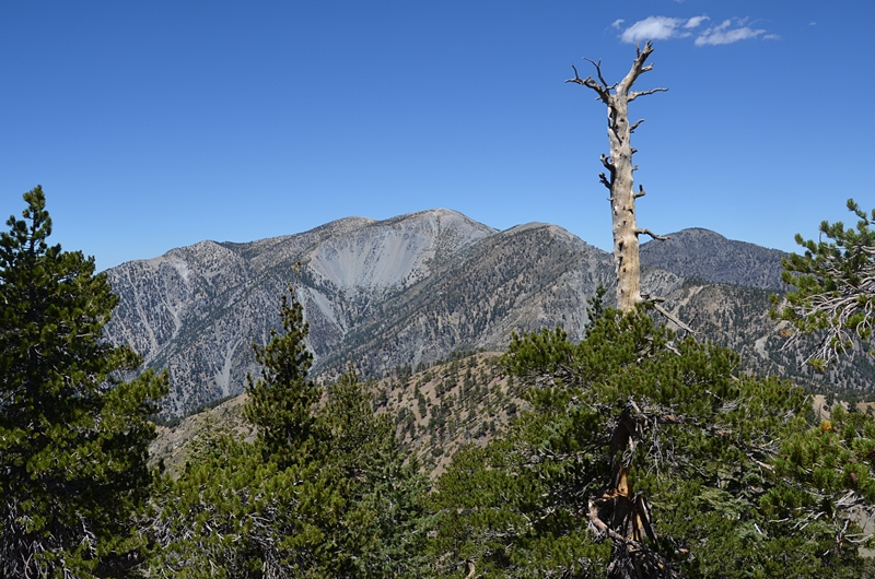 DSC_0075.JPG