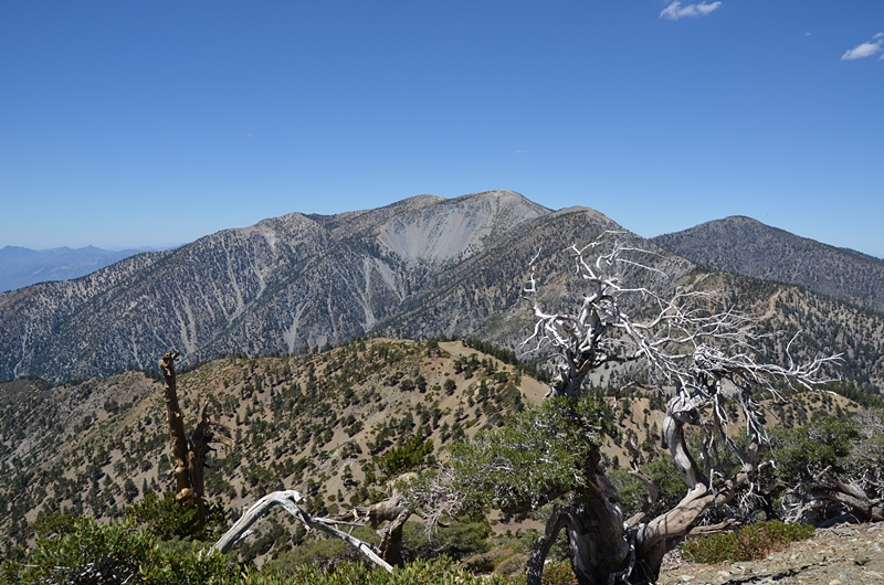 DSC_0110.JPG