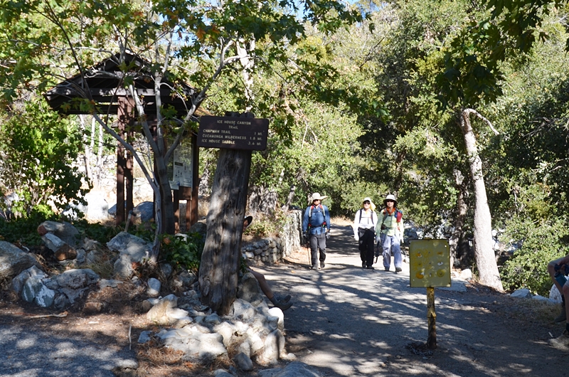 DSC_0166.JPG