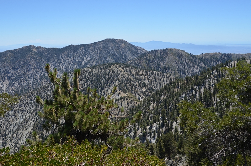DSC_0109.JPG
