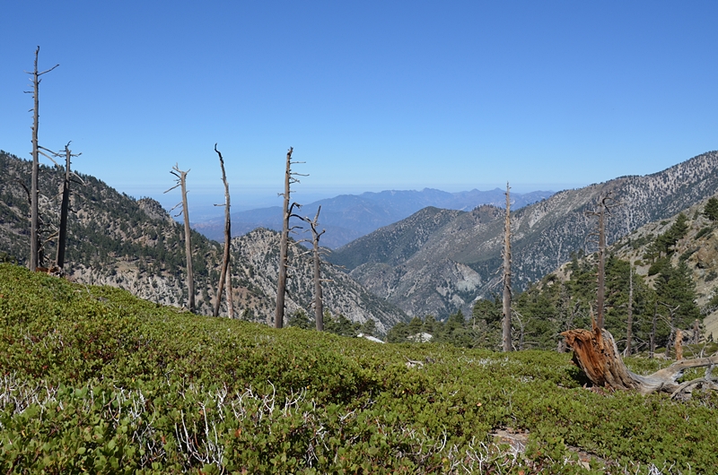 DSC_0050.JPG