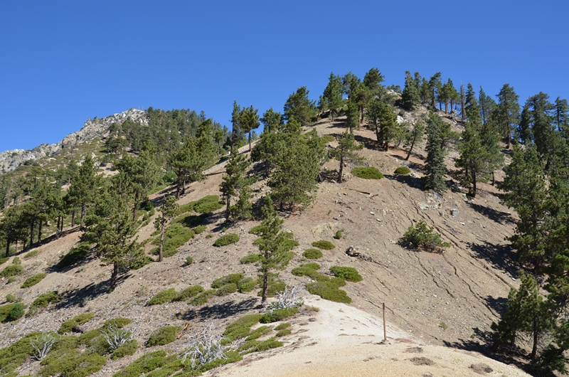 DSC_0052.JPG