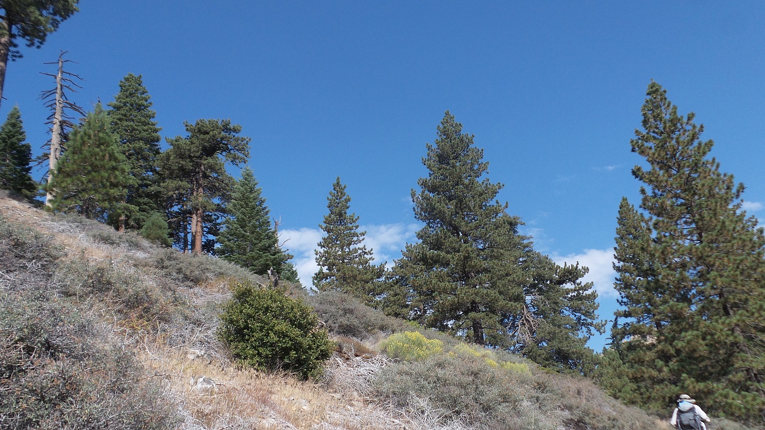 20160822_093132.jpg