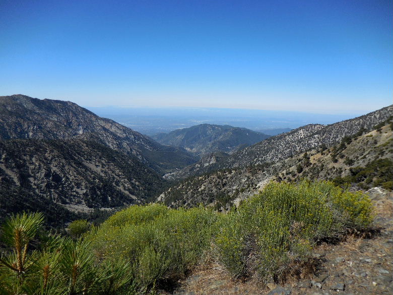 mtbaldy715 006.JPG