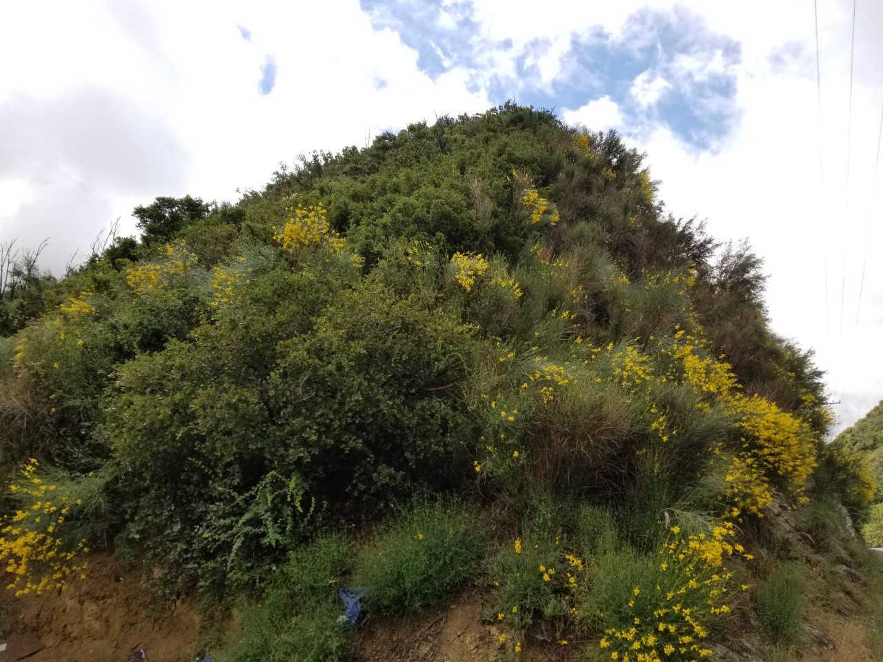 n1 (4).jpg