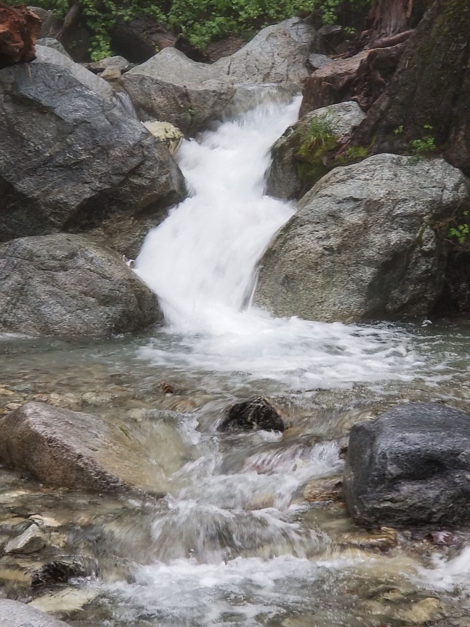 n2.jpg