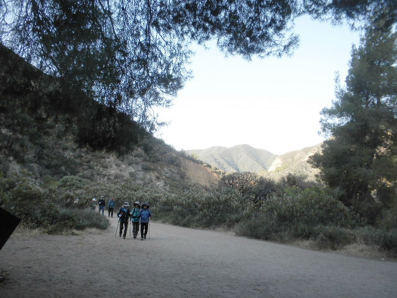 ironmt42813 101.JPG