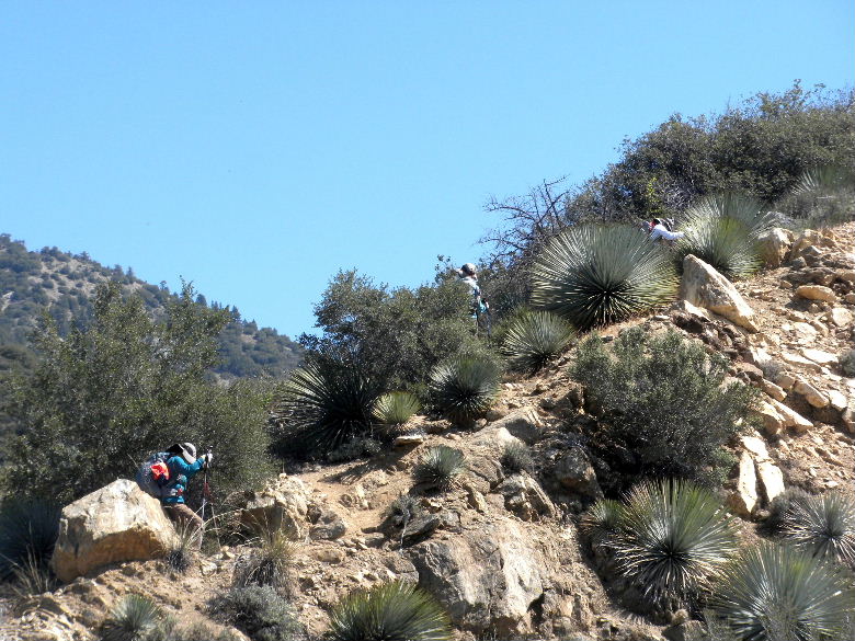 ironmt42813 111.JPG