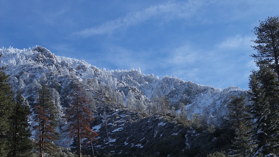 N5.jpg