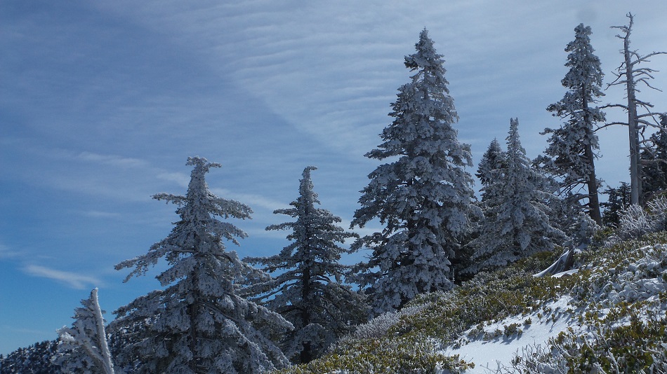 N10.jpg