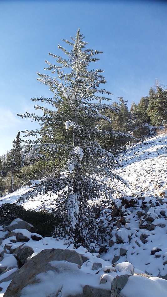 N3.jpg
