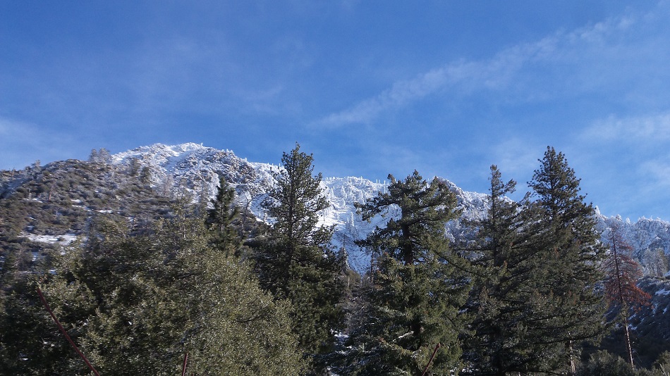 N4.jpg