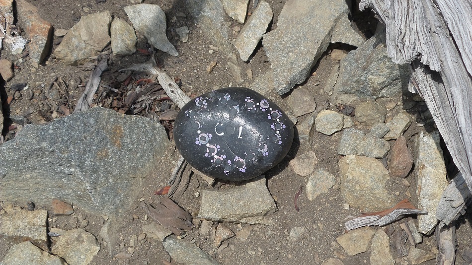 Pebble.jpg