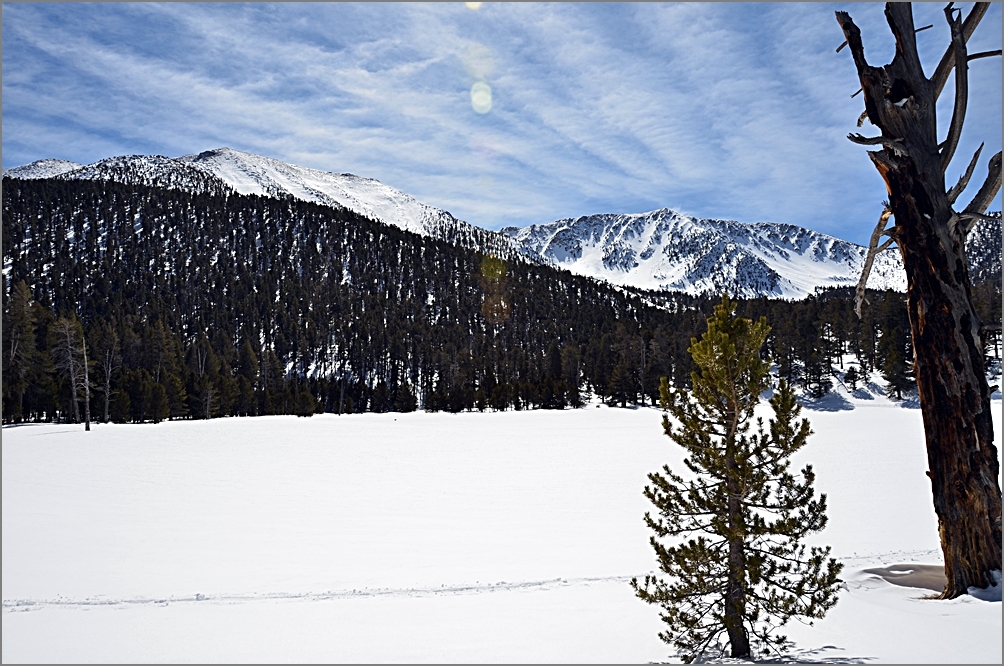 DSC_3664[1].JPG
