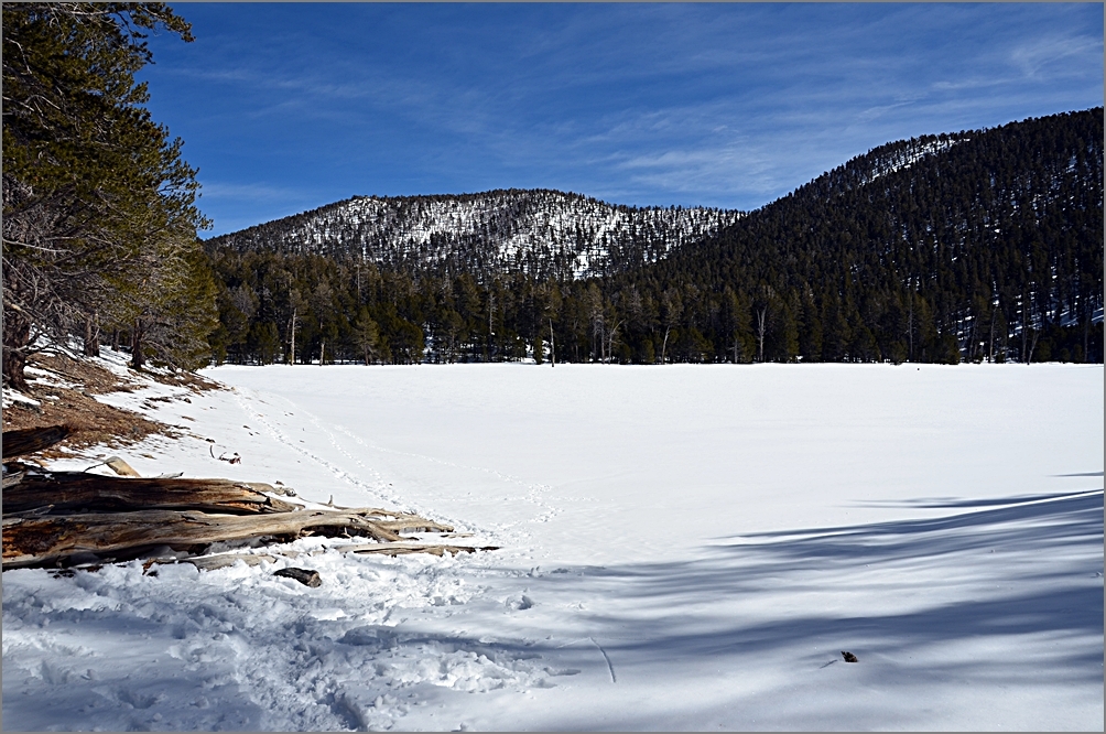 DSC_3739[1].JPG