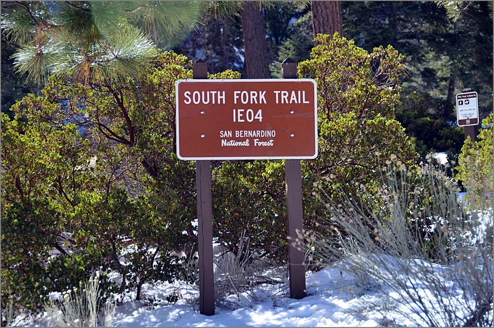 DSC_3605[1].JPG