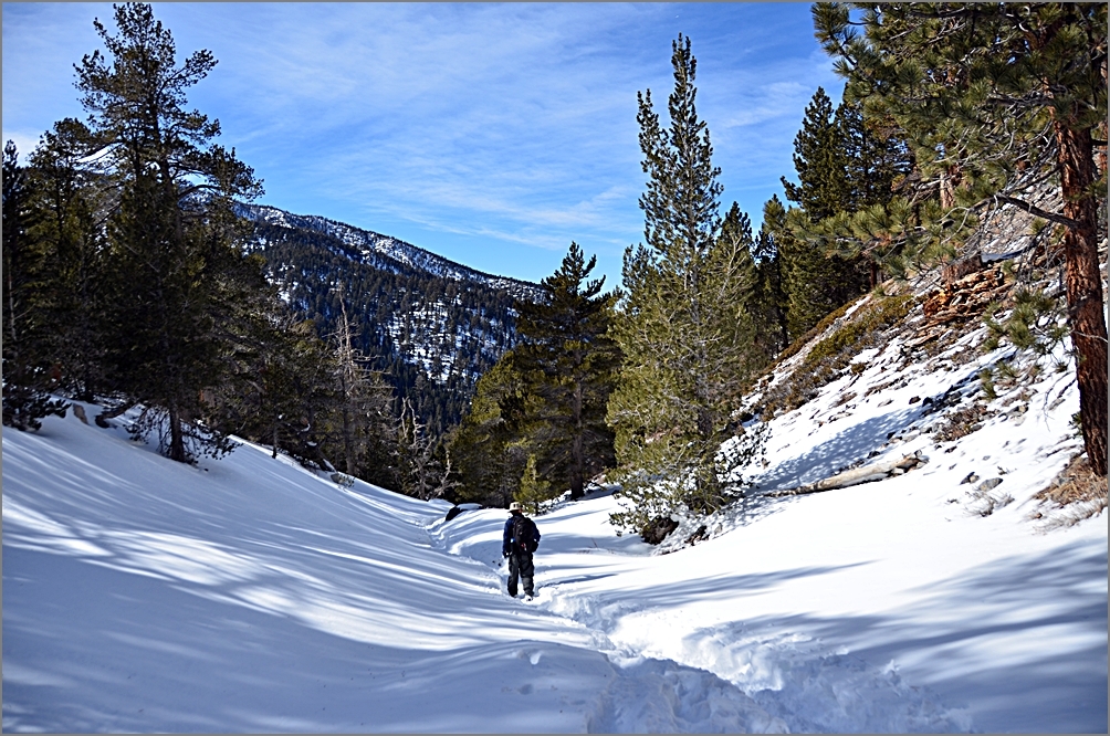 DSC_3766[1].JPG