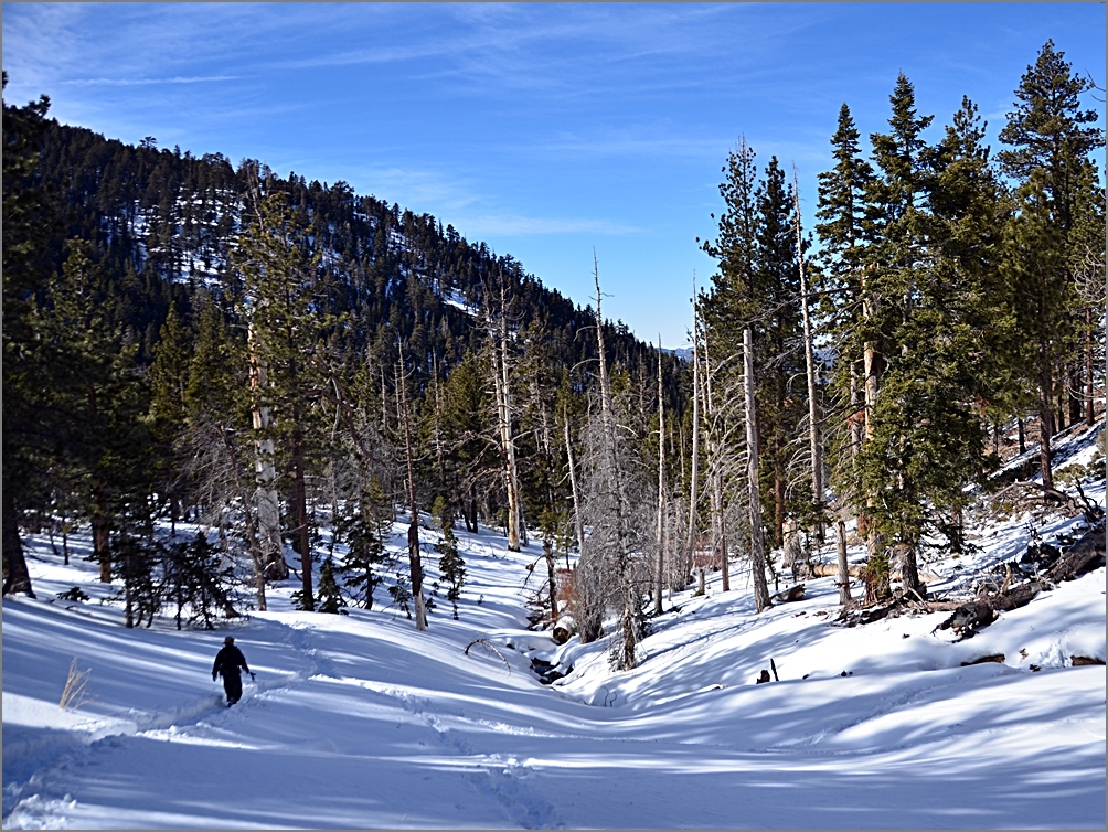 DSC_3773[1].JPG