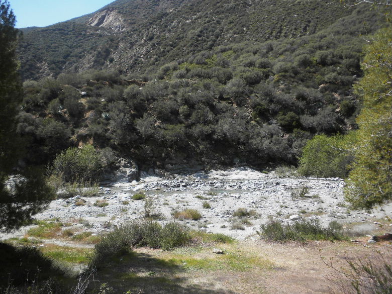 mt.iron4102 066.JPG