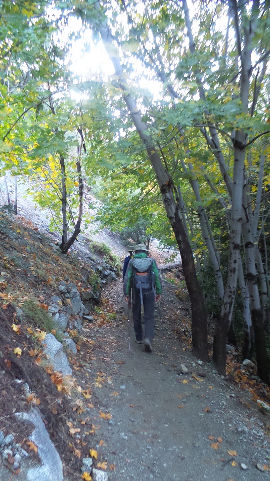 20181014_082535.jpg