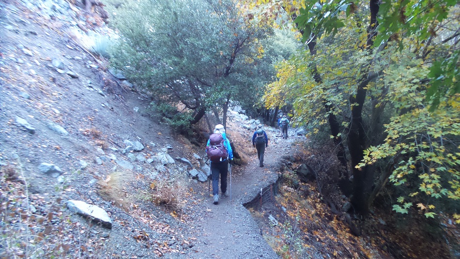 20181014_082609.jpg