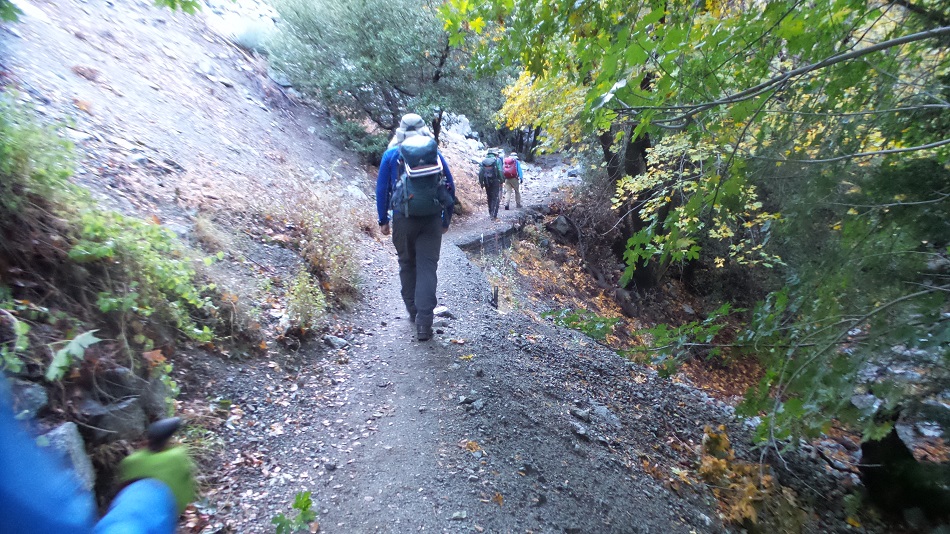 20181014_082558.jpg