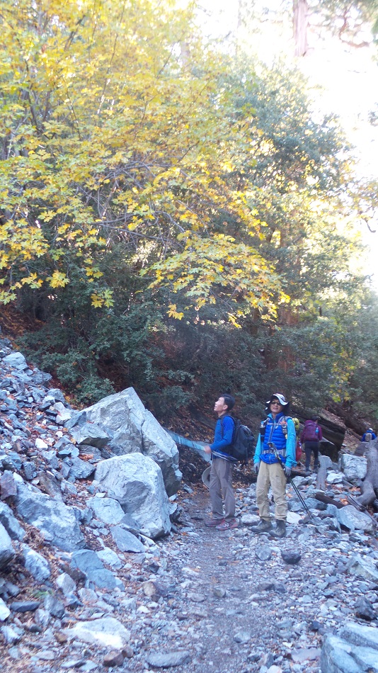 20181014_084840.jpg