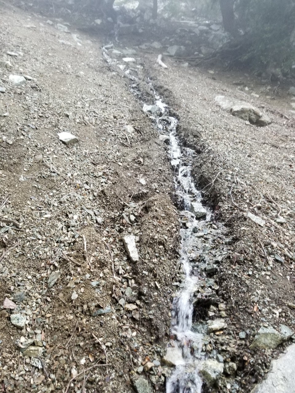 n4.jpg