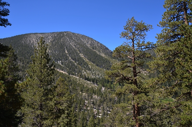 DSC_0042.JPG