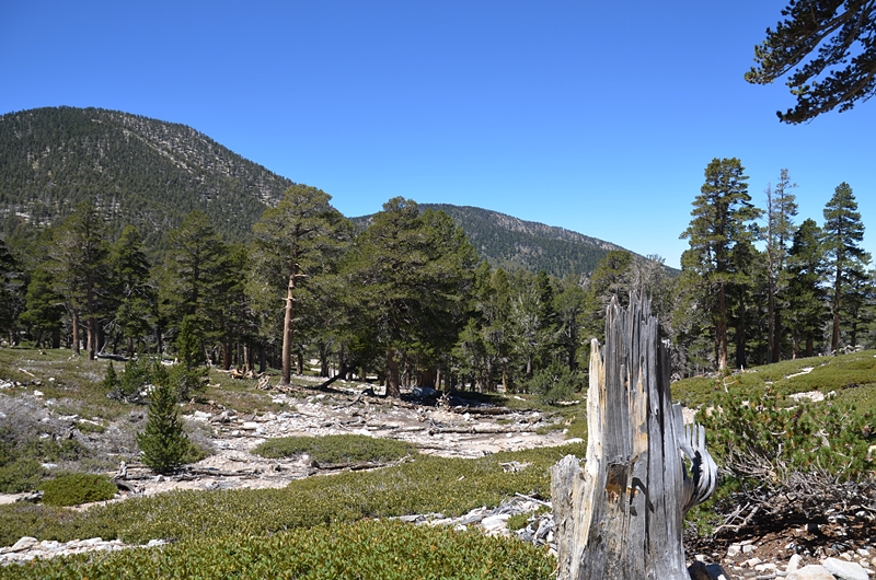 DSC_0090.JPG