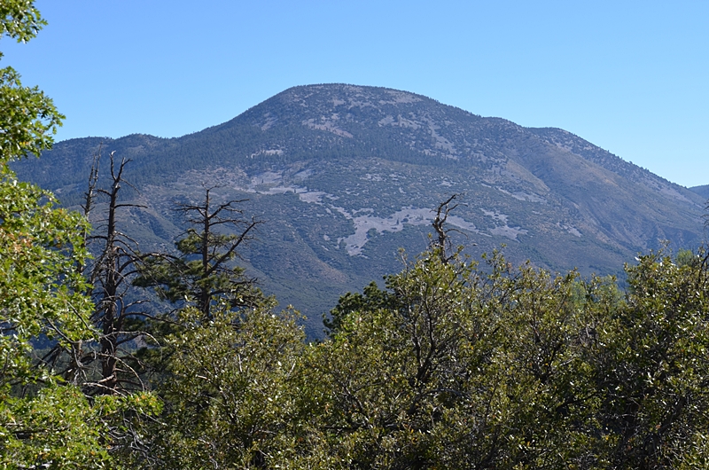 DSC_0008.JPG