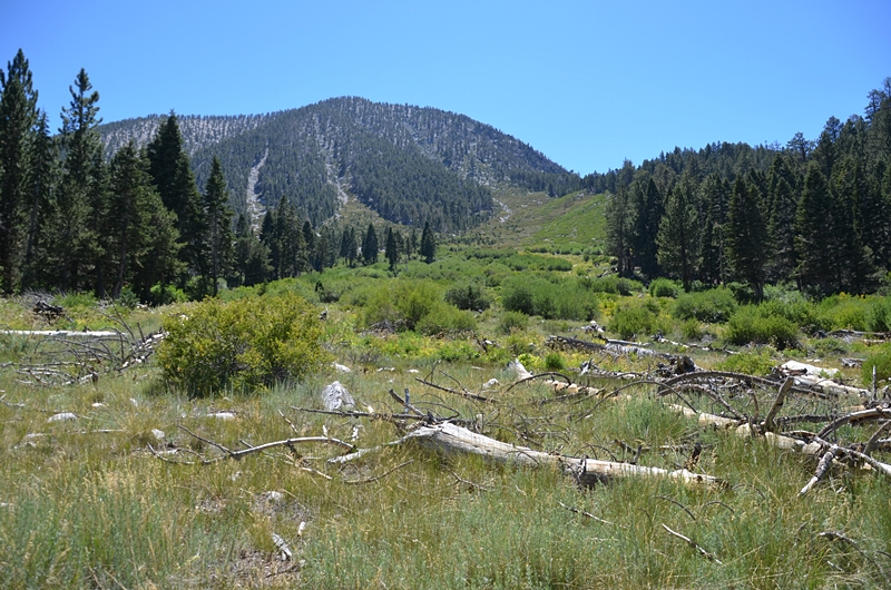 DSC_0199.JPG