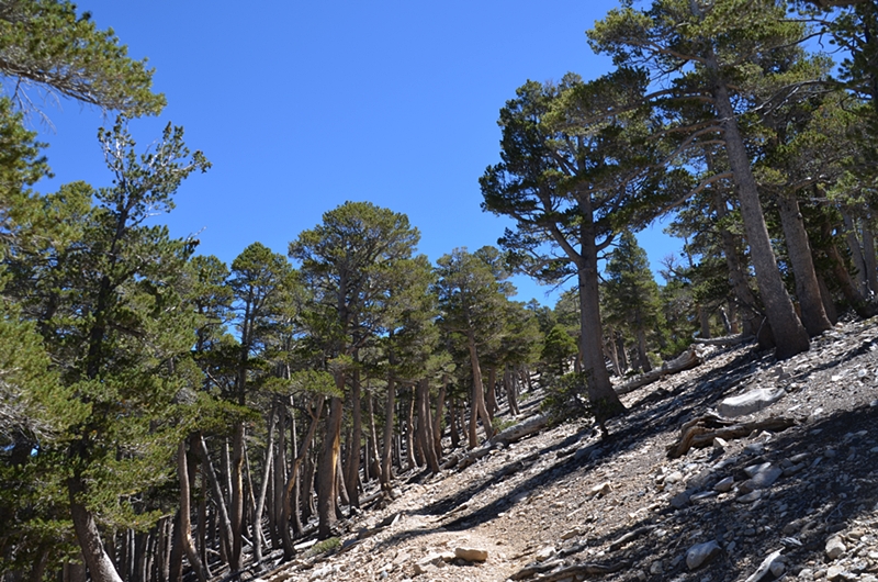 DSC_0111.JPG