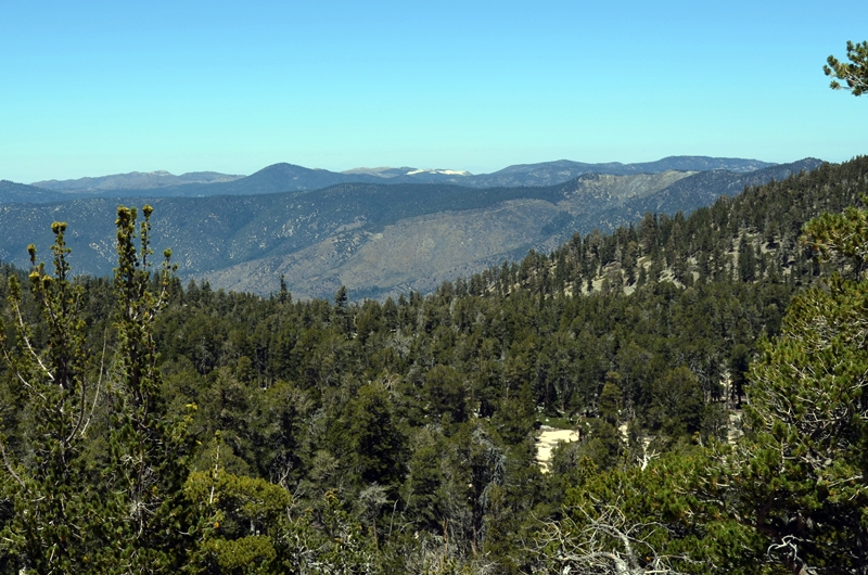 DSC_0104.JPG