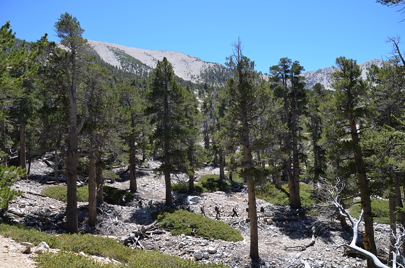 DSC_0148.JPG