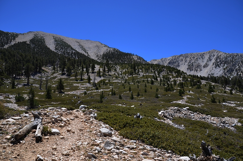 DSC_0088.JPG