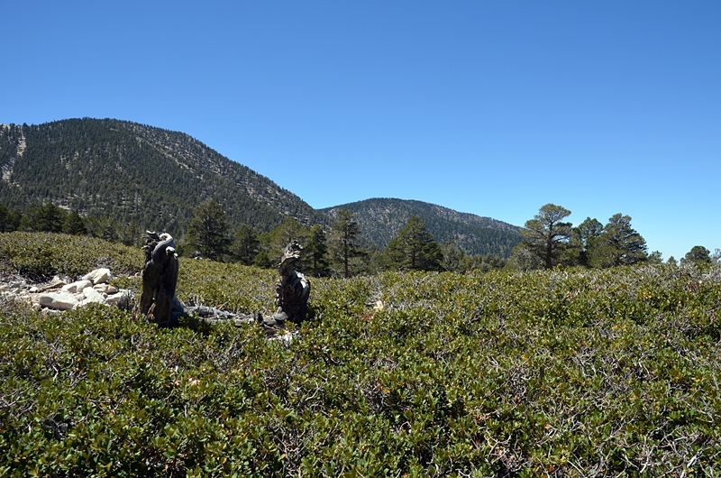 DSC_0155.JPG