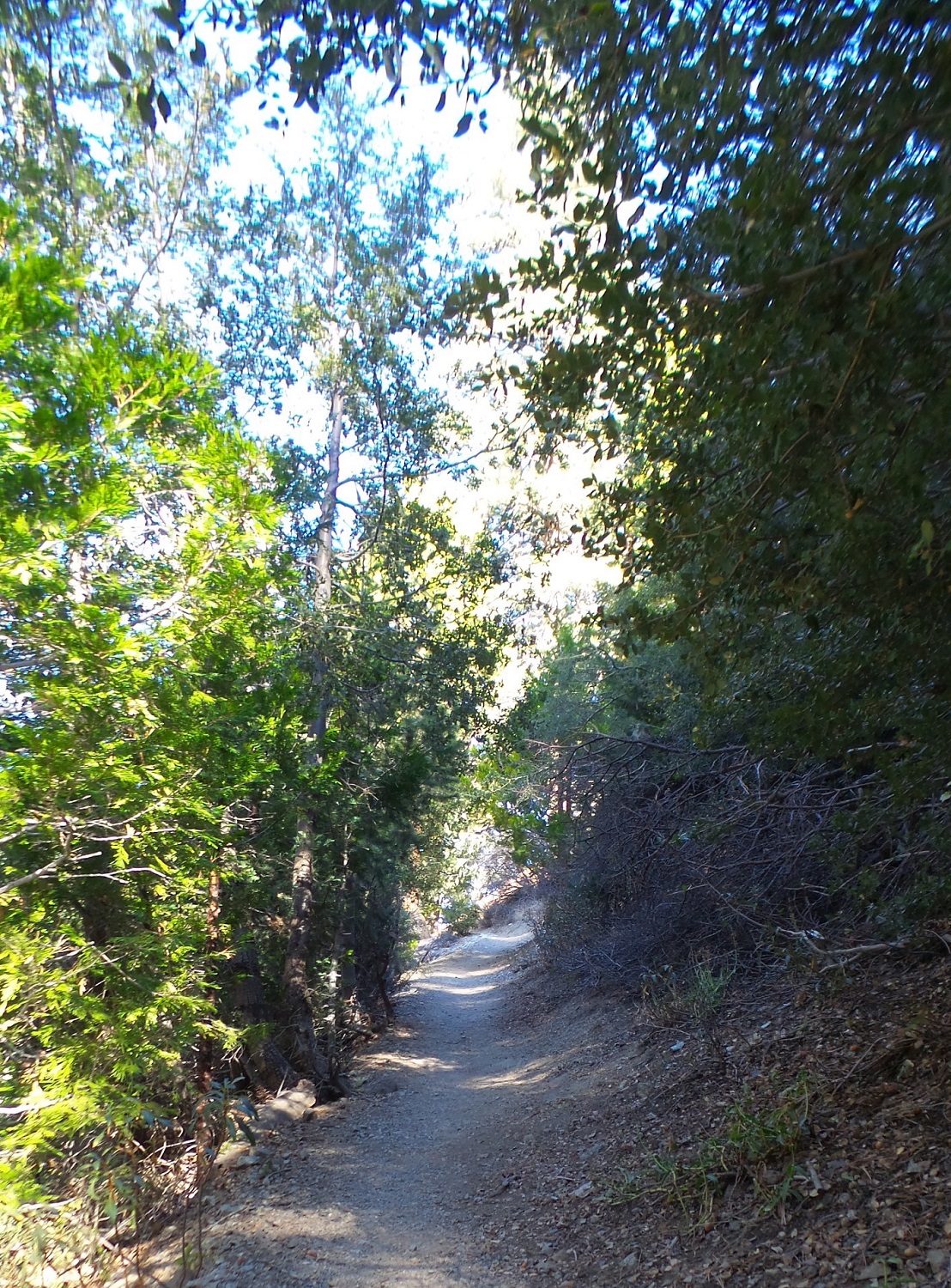 20161113_091747.jpg
